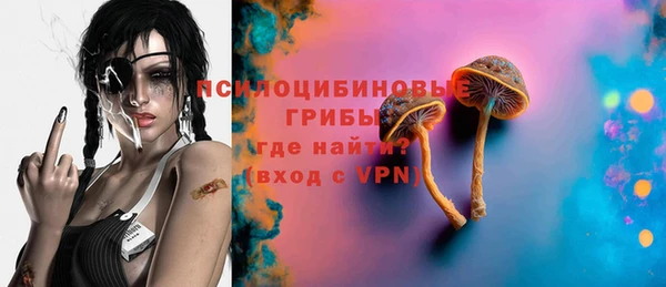 молекула духа Магас