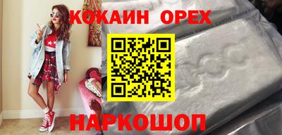 шишки Дубна