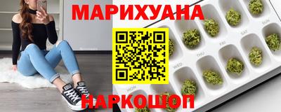 шишки Дубна