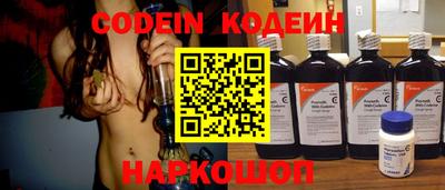 шишки Дубна