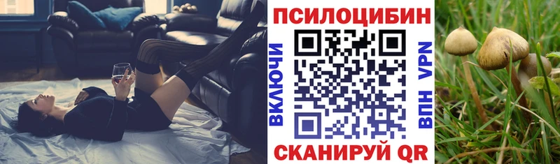 Галлюциногенные грибы Psilocybine cubensis  цена   kraken зеркало  Североуральск 