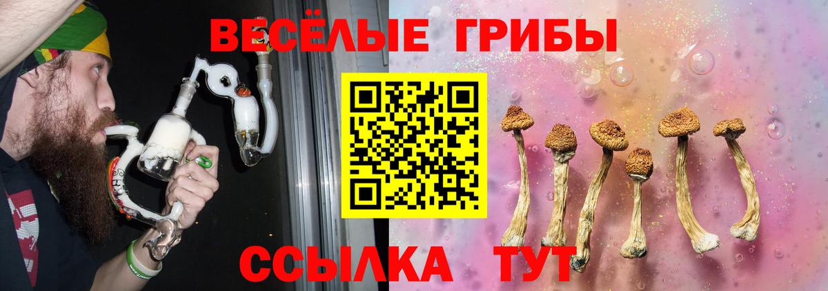 Псилоцибиновые грибы Cubensis Североуральск